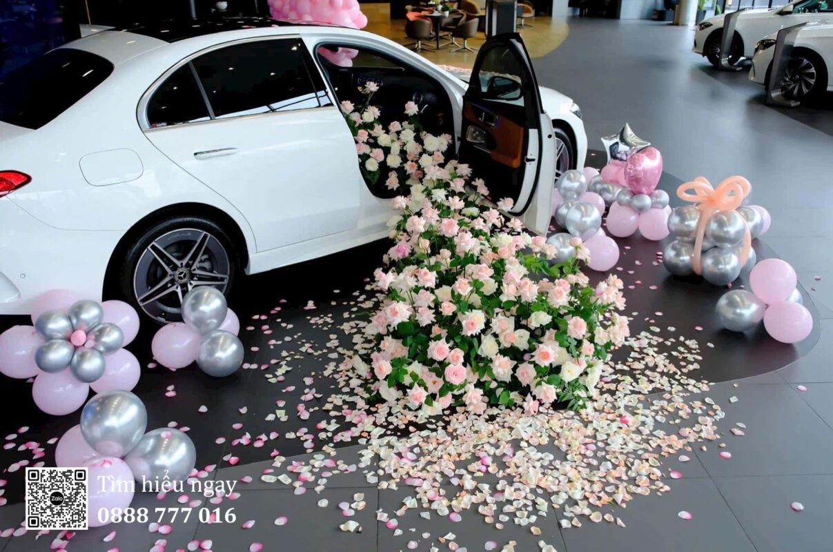 Mercedes Binh Duong